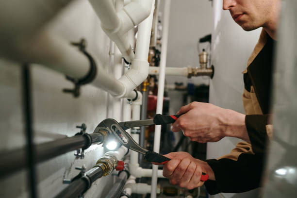 Best Residential Plumbing Services  in Poseyville, IN
