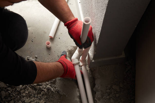 Best Local Plumber Services  in Poseyville, IN