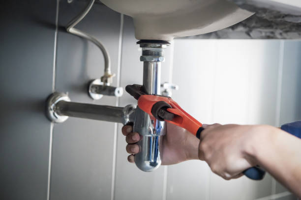 Best Plumbing Inspection Services  in Poseyville, IN