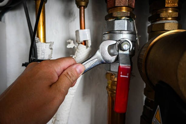 Best Drain Cleaning Services  in Poseyville, IN